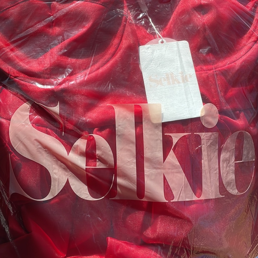 Selkie jingle bell rock French corset dress - Picture 6 of 6